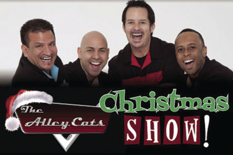 Alley Cats